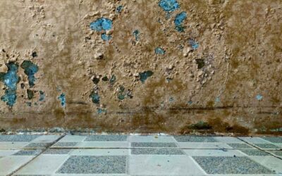 What Causes Water Seepage in Basement Walls?